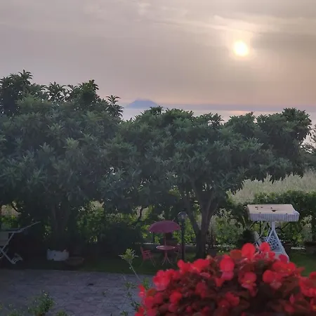 Guest house Gullo Capo Vaticano 3*