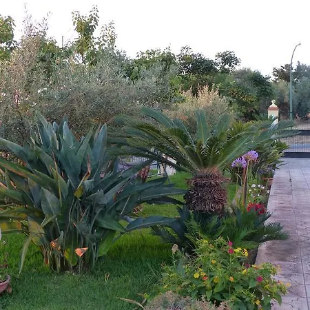 Gullo Capo Vaticano 3*