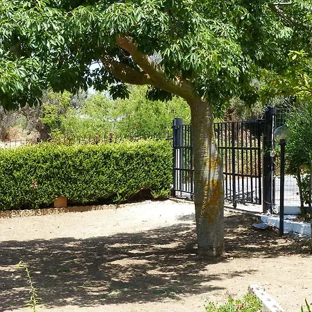 Gullo Capo Vaticano Guest house *