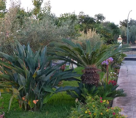 Gullo Capo Vaticano 3*